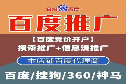 优化SEM竞价策略：成功案例剖析